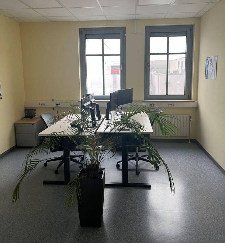 Büroraum mit zwei Arbeitsplätzen, einem großen Fenster und einer Zimmerpflanze im Vordergrund.