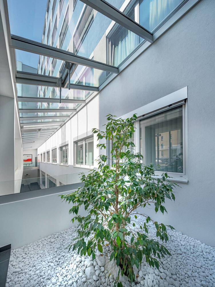 Heller Innenhof mit Glasdach, weißem Kies und einer grünen Pflanze, die natürliches Licht erhält.