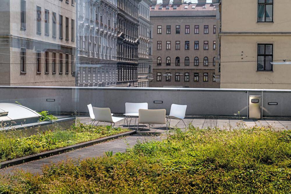 Grüne Dachterrasse mit Sitzgelegenheiten und Blick auf die umliegenden Gebäude der Stadt.