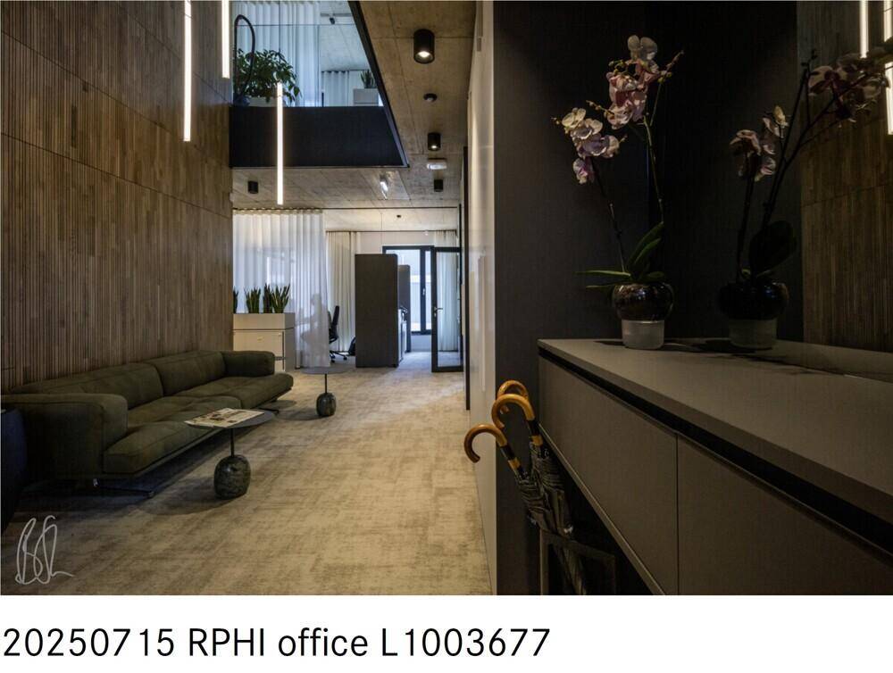 Detailansicht des modernen Empfangsbereichs mit bequemer Couch und dekorativen Orchideen.
