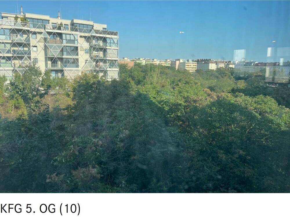 Weitblick aus dem Fenster über grüne Bäume und städtische Gebäude in der Ferne.