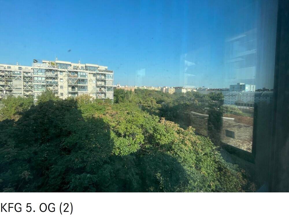 Panoramablick aus dem Fenster mit weitem Himmel, grünen Baumkronen und städtischer Bebauung.