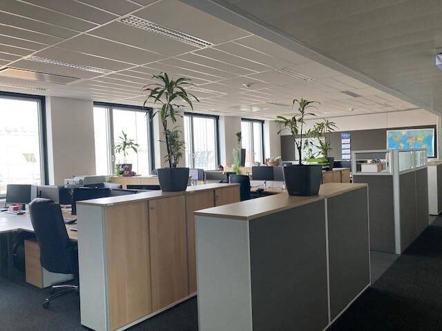 Geräumiges Großraumbüro mit vielen Arbeitsplätzen, Trennwänden und großen Fenstern.