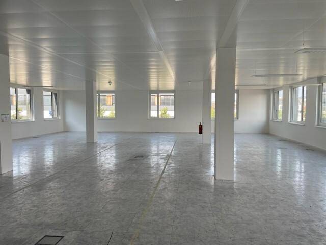 Geräumiger, leerer Bürobereich mit mehreren Fenstern, Stützpfeilern und Betonboden.