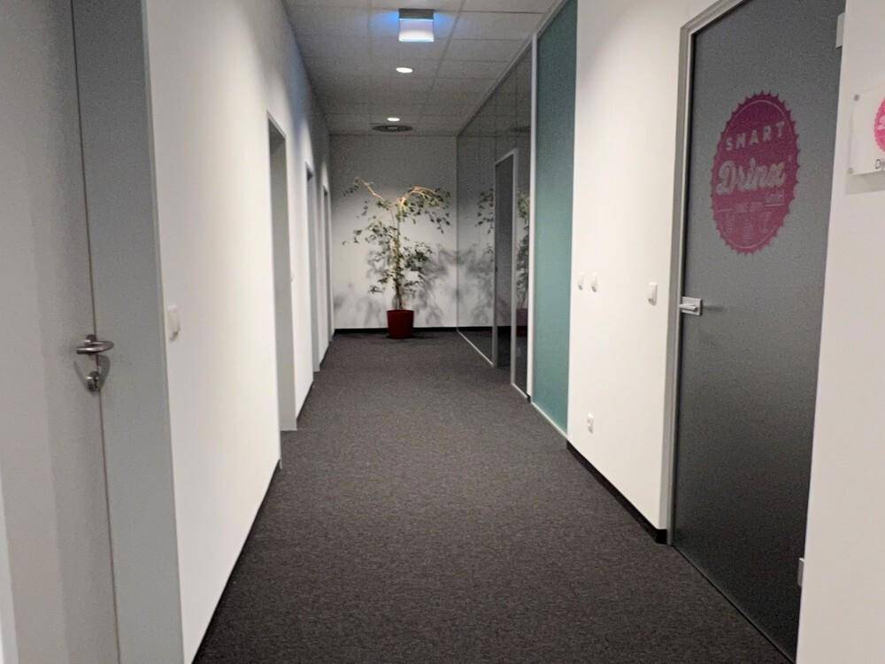 Heller Bürogang mit dunklem Teppichboden, weißen Wänden und einer Pflanze am Ende des Flurs.