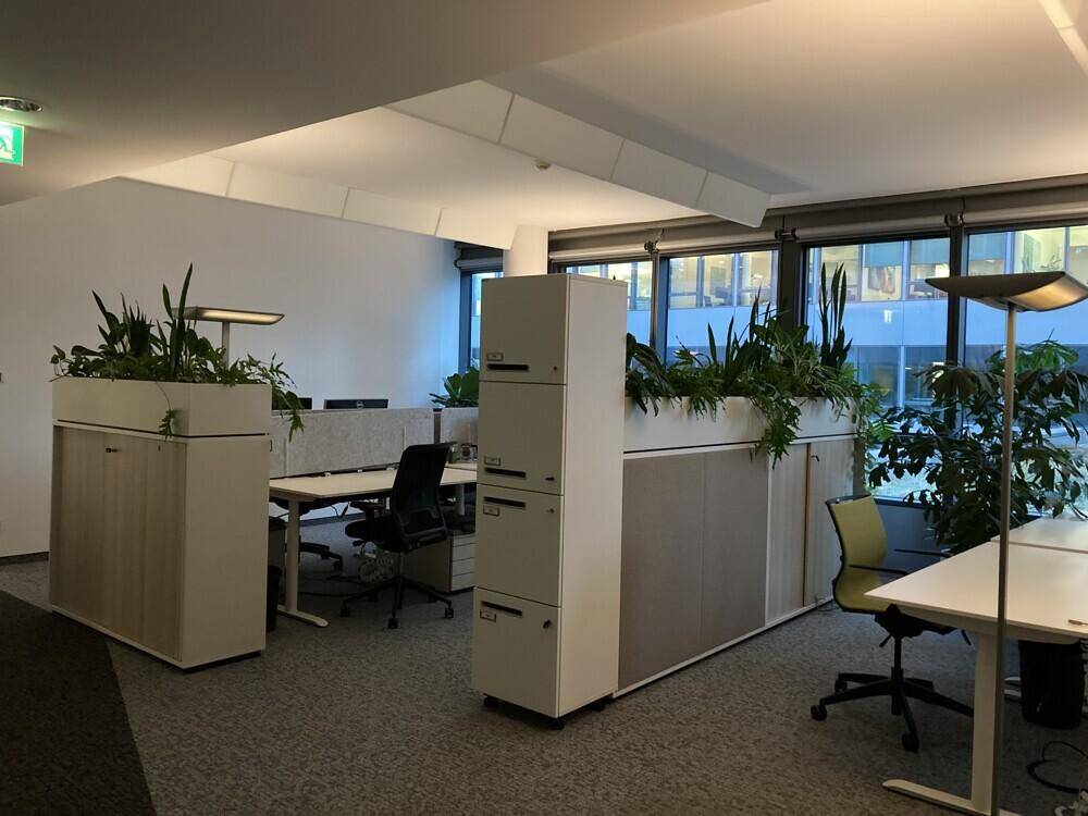 Großzügiger Bürobereich mit vielen Pflanzen, modernen Schreibtischen und viel Tageslicht.