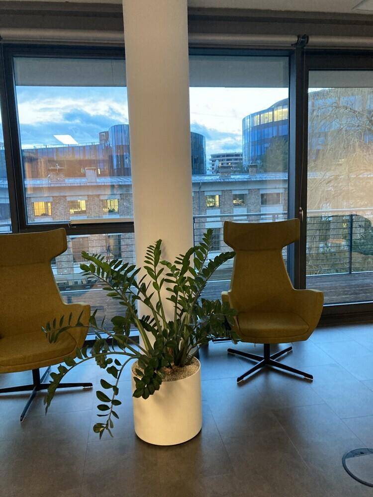 Gemütlicher Loungebereich mit zwei modernen Sesseln, Pflanzen und Blick auf die Stadt.