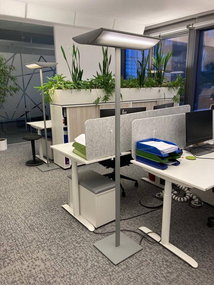 Offener Bürobereich mit ergonomischen Arbeitsplätzen, Pflanzen und Stehleuchten.
