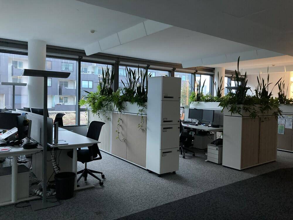 Offener Bürobereich mit ergonomischen Arbeitsplätzen, Pflanzen und viel Tageslicht.