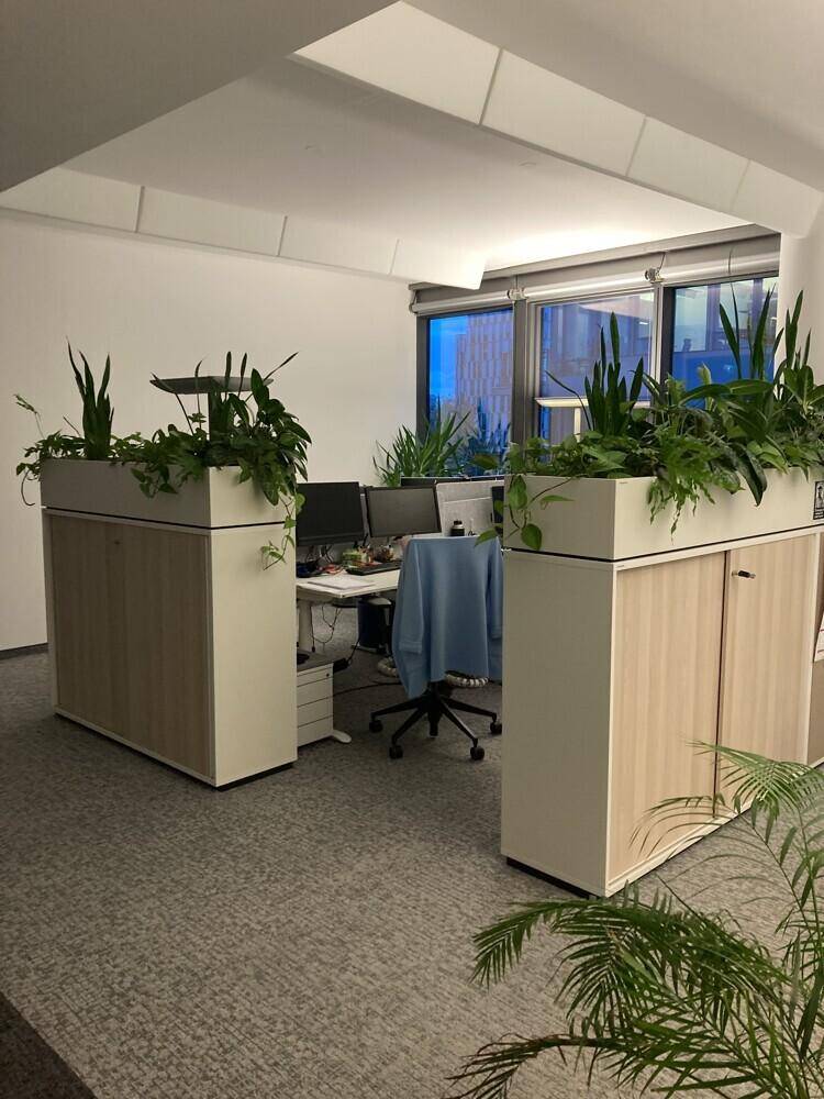 Heller Bürobereich mit ergonomischen Arbeitsplätzen, Pflanzen und viel Tageslicht.