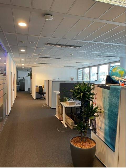 Offenes Büro mit Teppichboden, modularen Arbeitsplätzen und großen Fenstern.