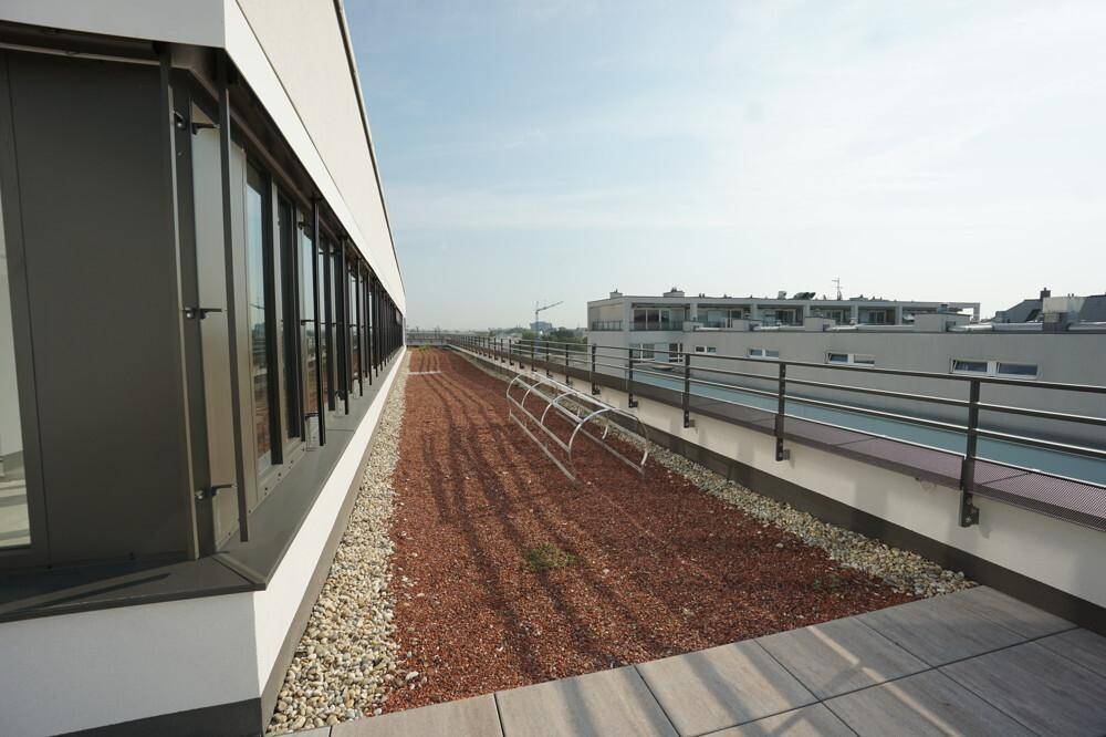 Lange Dachterrasse mit Kiesbeet und Steinplatten, entlang der Gebäudefassade mit vielen Fenstern.
