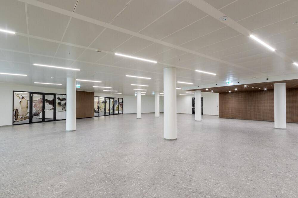 Großer, leerer Saal mit hohen Decken, vielen Säulen und modernen Lichtleisten an der Decke.