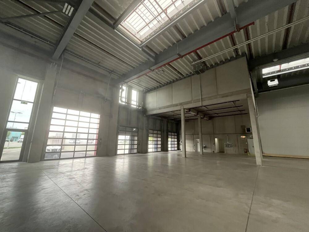 Geräumige Lagerhalle mit hohen Decken, Betonboden und großen Glasrolltoren, die Tageslicht hereinlassen.