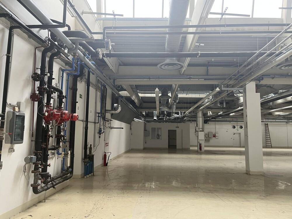Gewerberaum mit sichtbaren Rohrleitungen, Lüftungssystemen und einem hellen Boden, bereit zur Nutzung.
