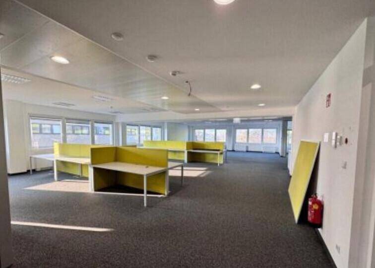 Großes, offenes Büro mit mehreren Arbeitsplätzen, Teppichboden und breiten Fenstern für viel Helligkeit.
