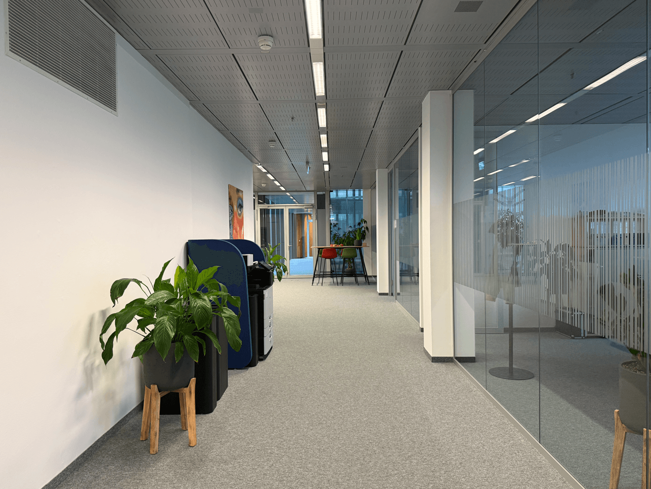 Moderner Bürogang mit Teppichboden, Glaswänden und Pflanzen, der zu weiteren Büroräumen führt.