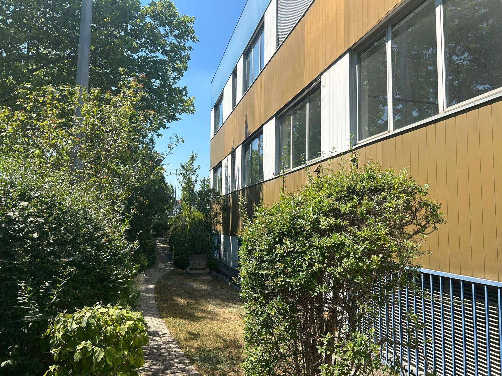 Seitenansicht eines Gebäudes mit braunen Fassadenplatten, vielen Fenstern und einem grünen Weg mit Büschen.