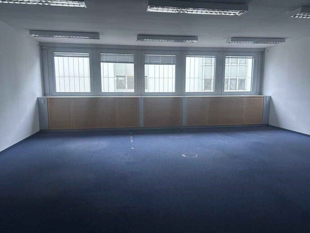 Leerer Büroraum mit blauem Teppichboden, großen Fenstern und integrierten Heizkörpern unter den Fenstern.