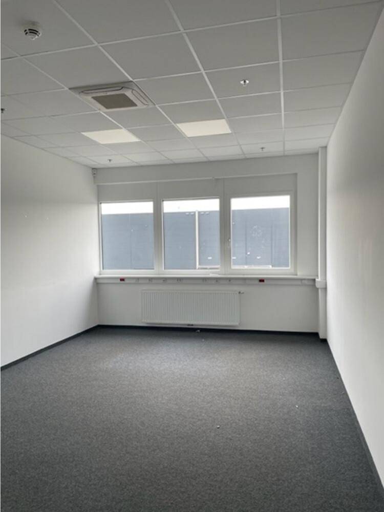 Geräumiger Büroraum mit grauem Teppichboden, weißen Wänden und Fenstern mit Blick nach draußen.