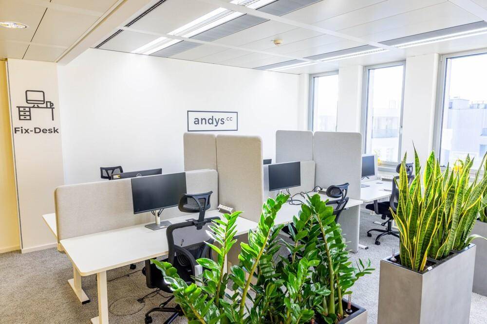 Offener Bürobereich mit festen Arbeitsplätzen, ergonomischen Stühlen und dekorativen Pflanzen.