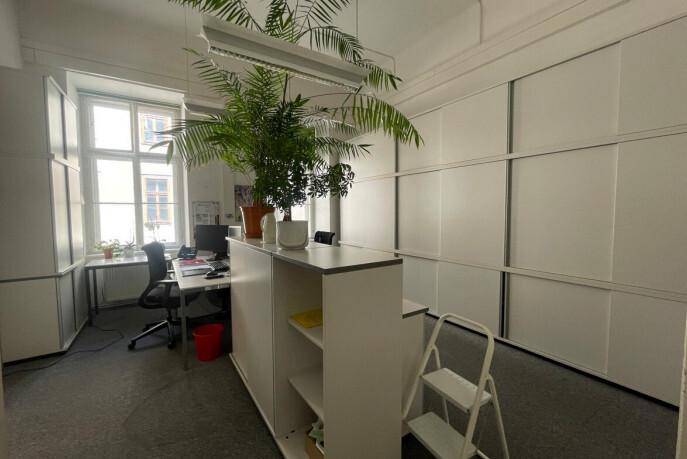 Büroraum mit großem Fenster, Teppichboden und einer dekorativen Pflanzenwand als Raumteiler.