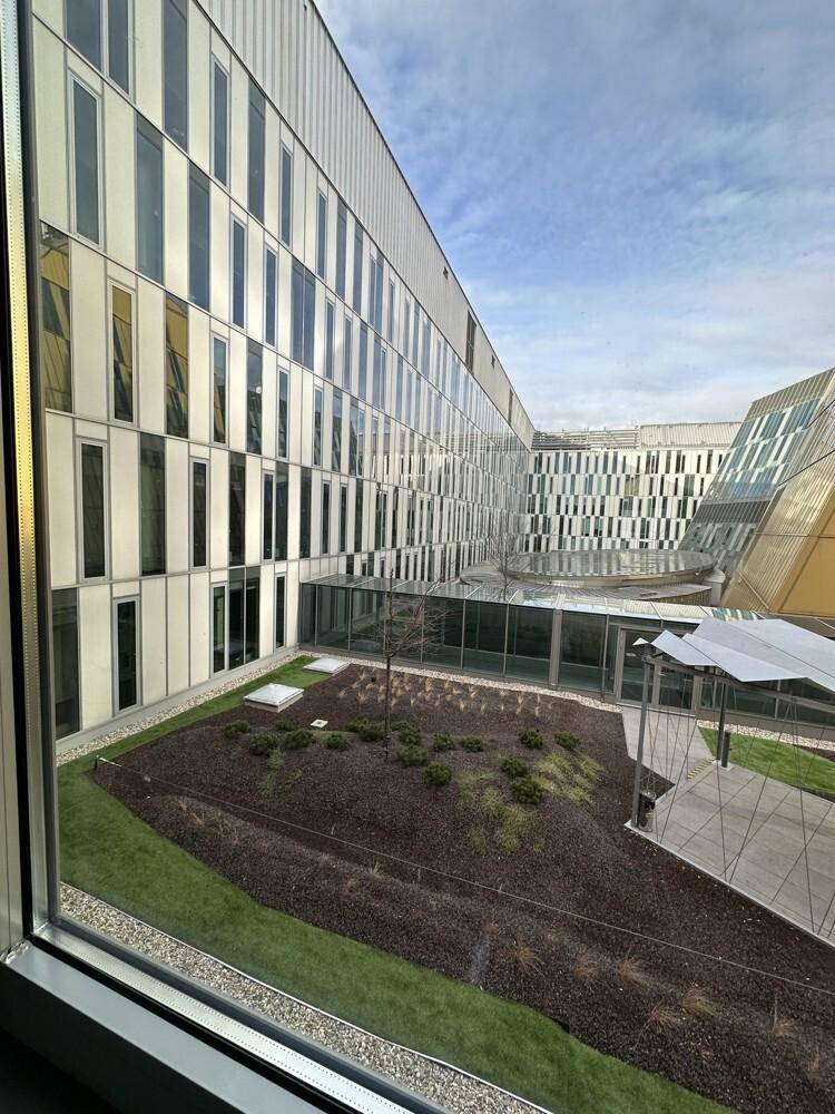 Innenhof eines modernen Bürokomplexes mit Grünflächen und minimalistischer Landschaftsgestaltung.
