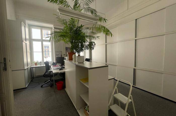 Helles Büro mit Fensterblick, Teppichboden und einer Raumteiler-Pflanzenkombination.