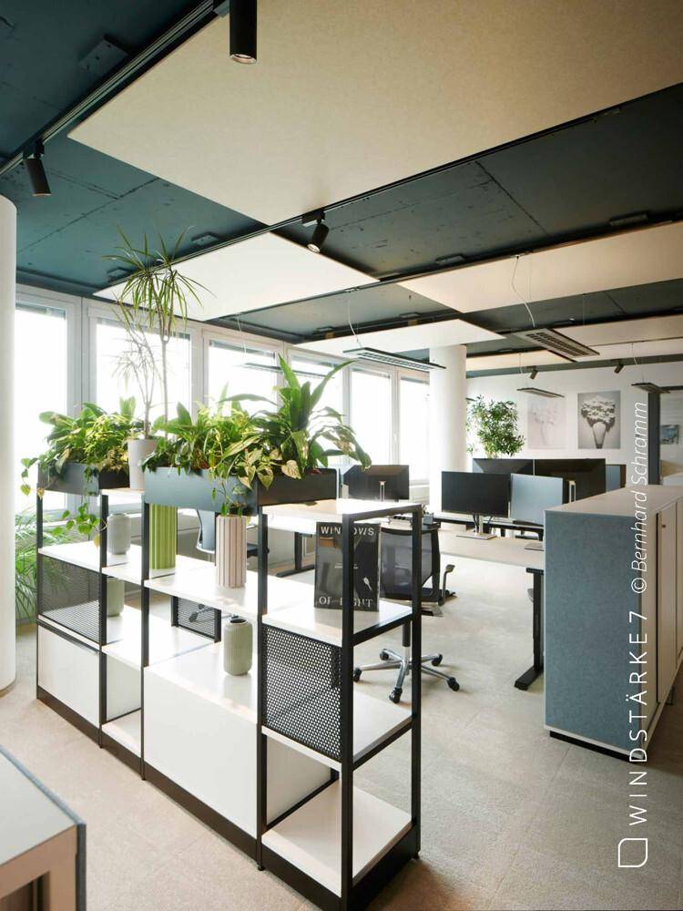 Modernes Großraumbüro mit vielen Pflanzen, ergonomischen Stühlen und großen Fenstern.