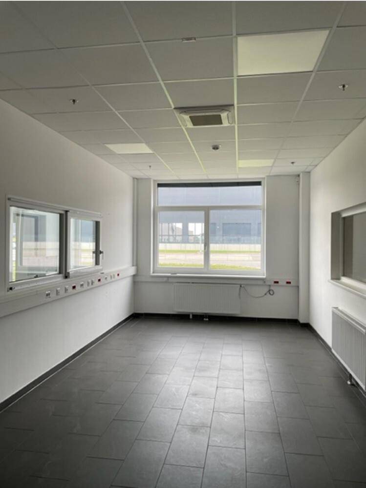 Heller, leerer Büroraum mit großen Fenstern, grauen Fliesen und abgehängter Decke mit integrierter Beleuchtung.