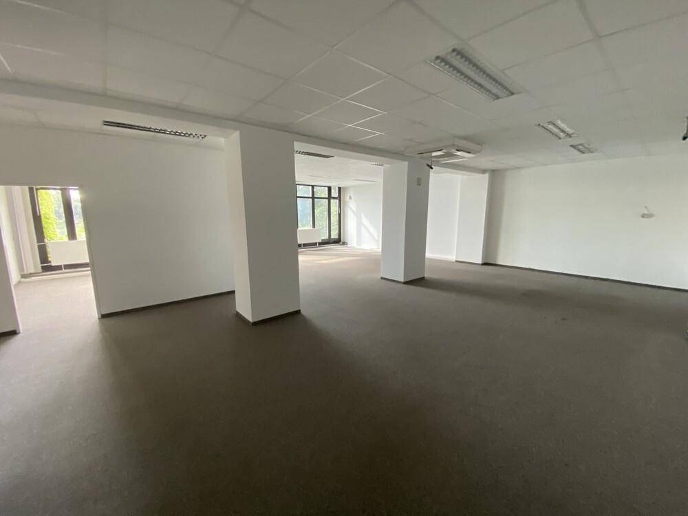 Großzügiger, offener Bürobereich mit dunklem Teppichboden, weißen Säulen und viel Tageslicht durch die Fenster.