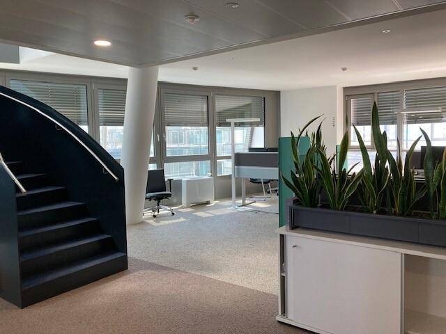 Modernes Büro mit geschwungener Treppe, Teppichboden und großen Fenstern, die viel Tageslicht hereinlassen.