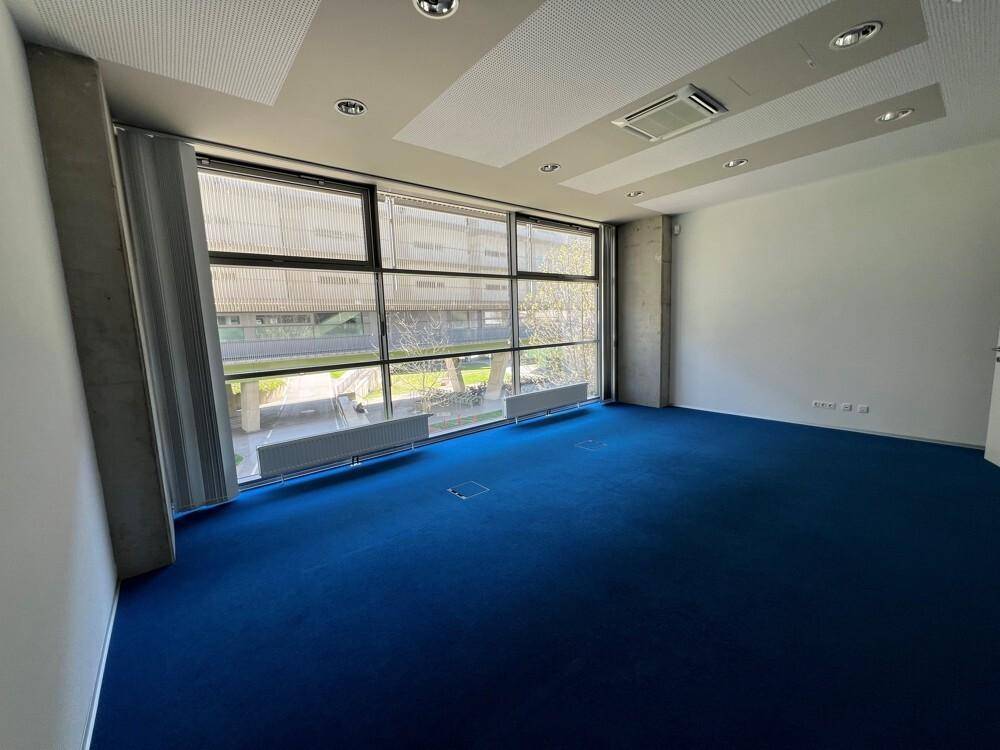 Foto innen 52