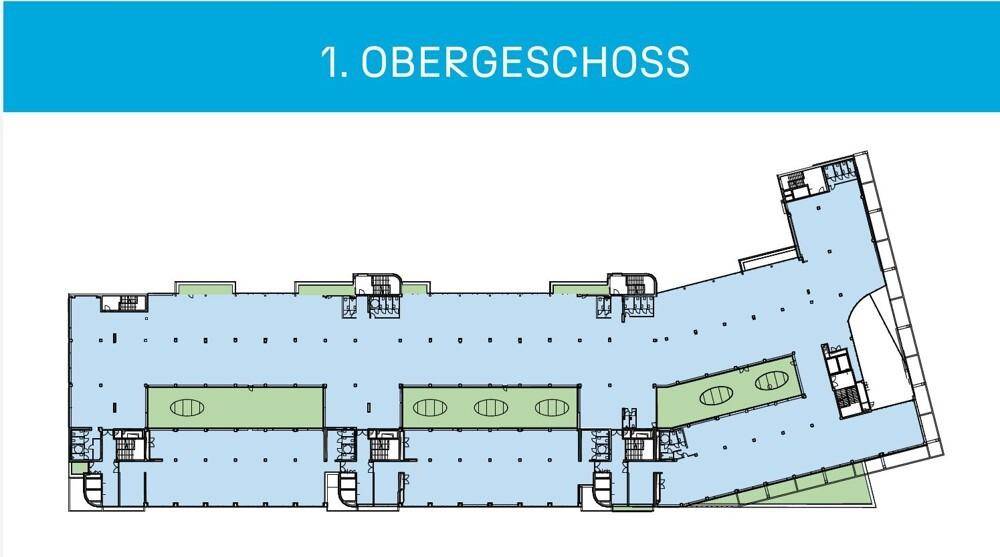 Plan 1. OG