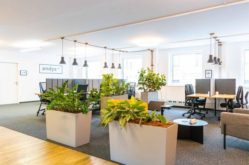 Weitläufiges Großraumbüro mit vielen Arbeitsplätzen, großen Pflanzen und einem entspannten Loungebereich.