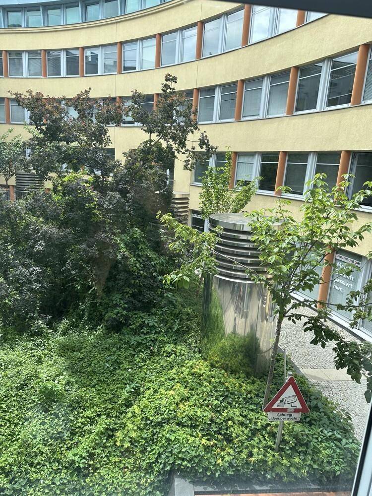 Blick aus dem Fenster auf einen begrünten Innenhof mit üppiger Vegetation und einer geschwungenen Gebäudefassade im Hintergrund.