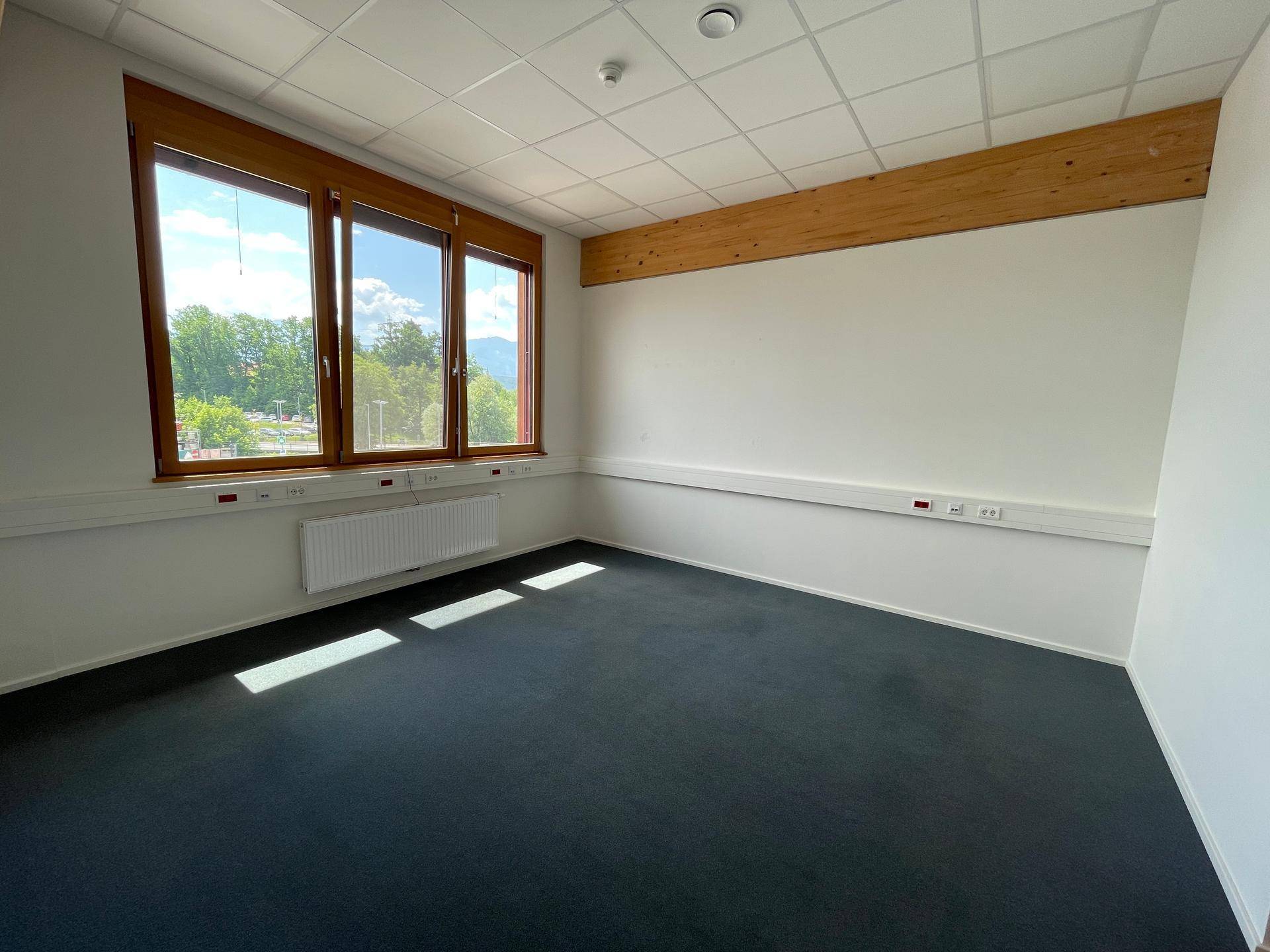 Helles Büro mit großen Holzfenstern, dunklem Teppichboden und Blick ins Grüne.