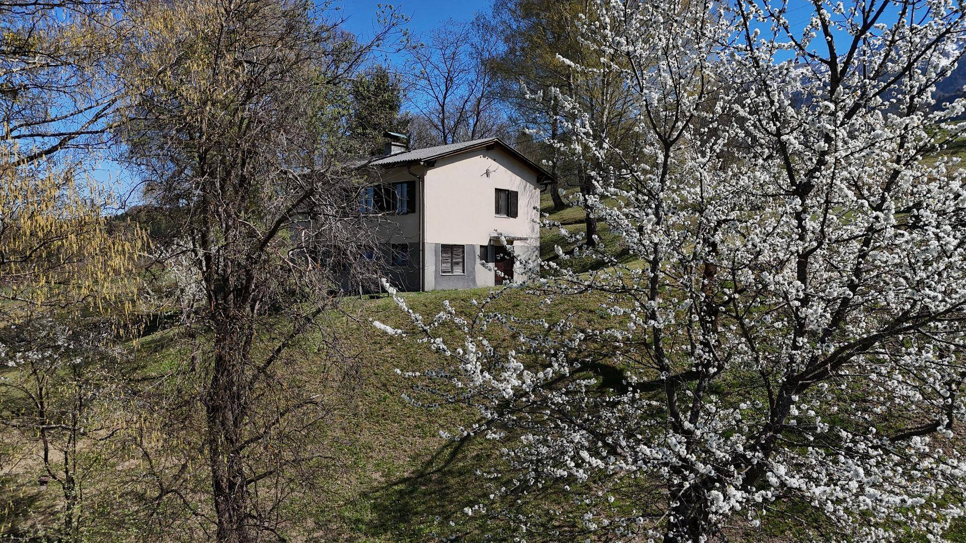 Einfamilienhaus mit heller Fassade und dunklen Fensterläden, umgeben von blühenden Bäumen und Grünflächen.