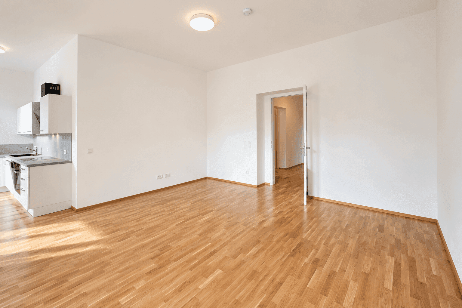Geräumiger offener Wohnbereich mit Parkettboden und Zugang zu weiteren Räumen.