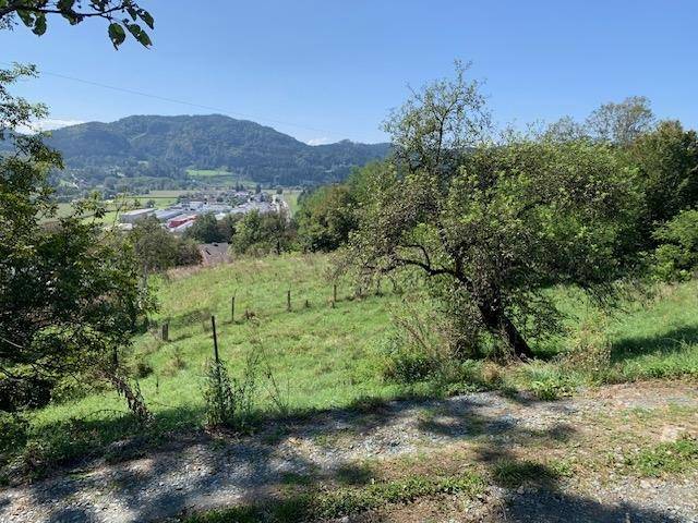 Blick über eine sanfte grüne Wiese mit einzelnen Bäumen und einer Siedlung in der Ferne.