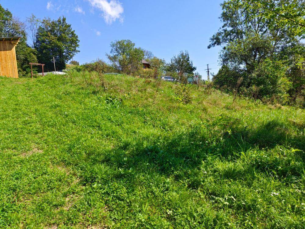 Weitläufige grüne Wiese mit natürlicher Vegetation und Bäumen unter blauem Himmel.