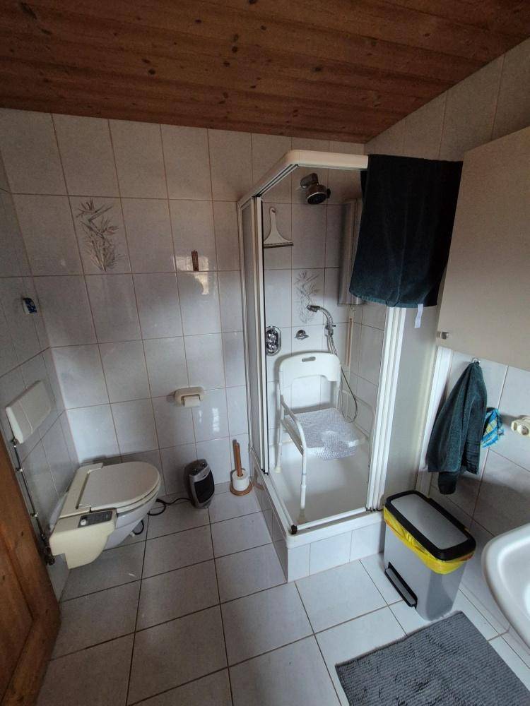 Badezimmer mit Dusche, WC und Waschbecken, ausgestattet mit Haltegriffen für Barrierefreiheit.