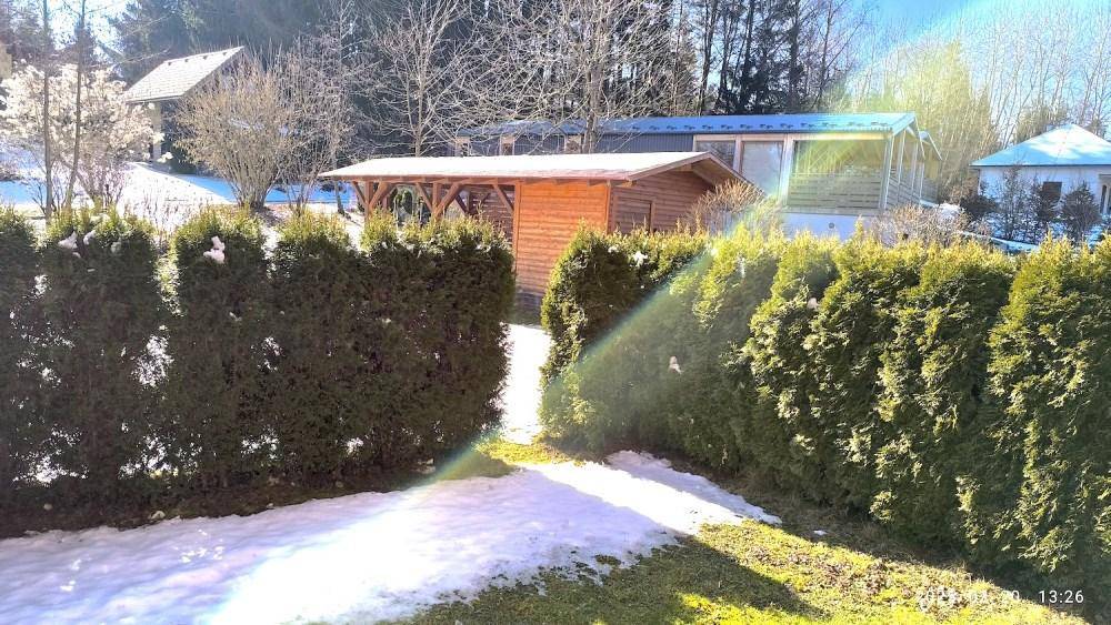 Gepflegter Gartenbereich mit hoher Hecke und einem kleinen Holzschuppen im Hintergrund.