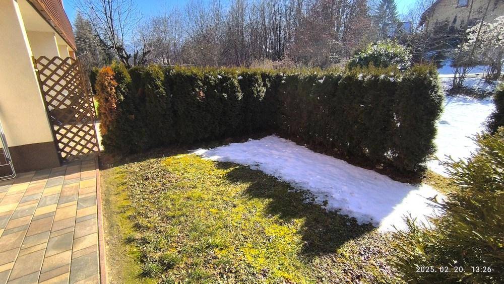 Ruhiger Gartenbereich mit Rasenfläche, Hecke und Resten von Schnee im Frühling.
