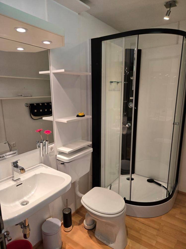Modernes Badezimmer mit Duschkabine, WC, Waschbecken und Holzboden.