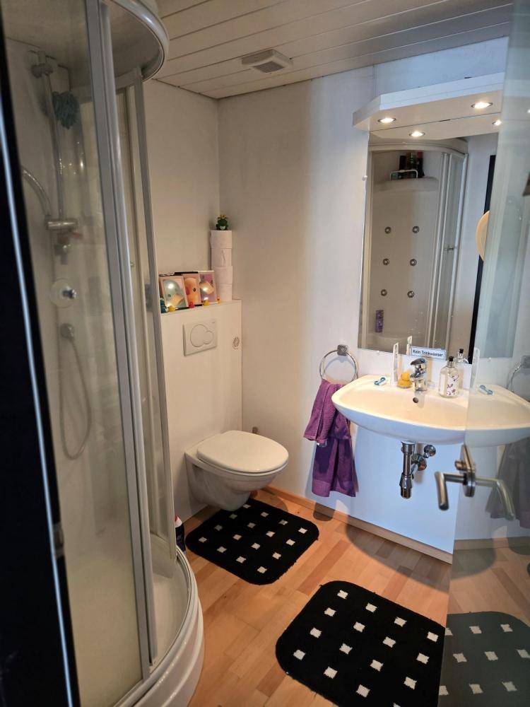Kleines Badezimmer mit Dusche, WC, Waschbecken und Holzboden.