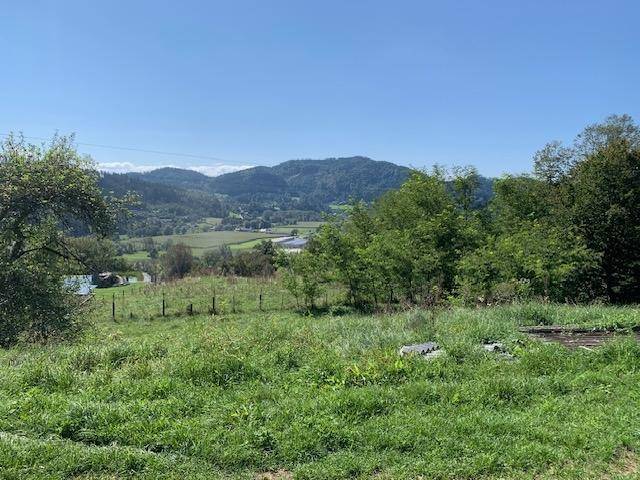 Panoramablick über grüne Hügel und weite Felder mit bewaldeten Bergen am Horizont.