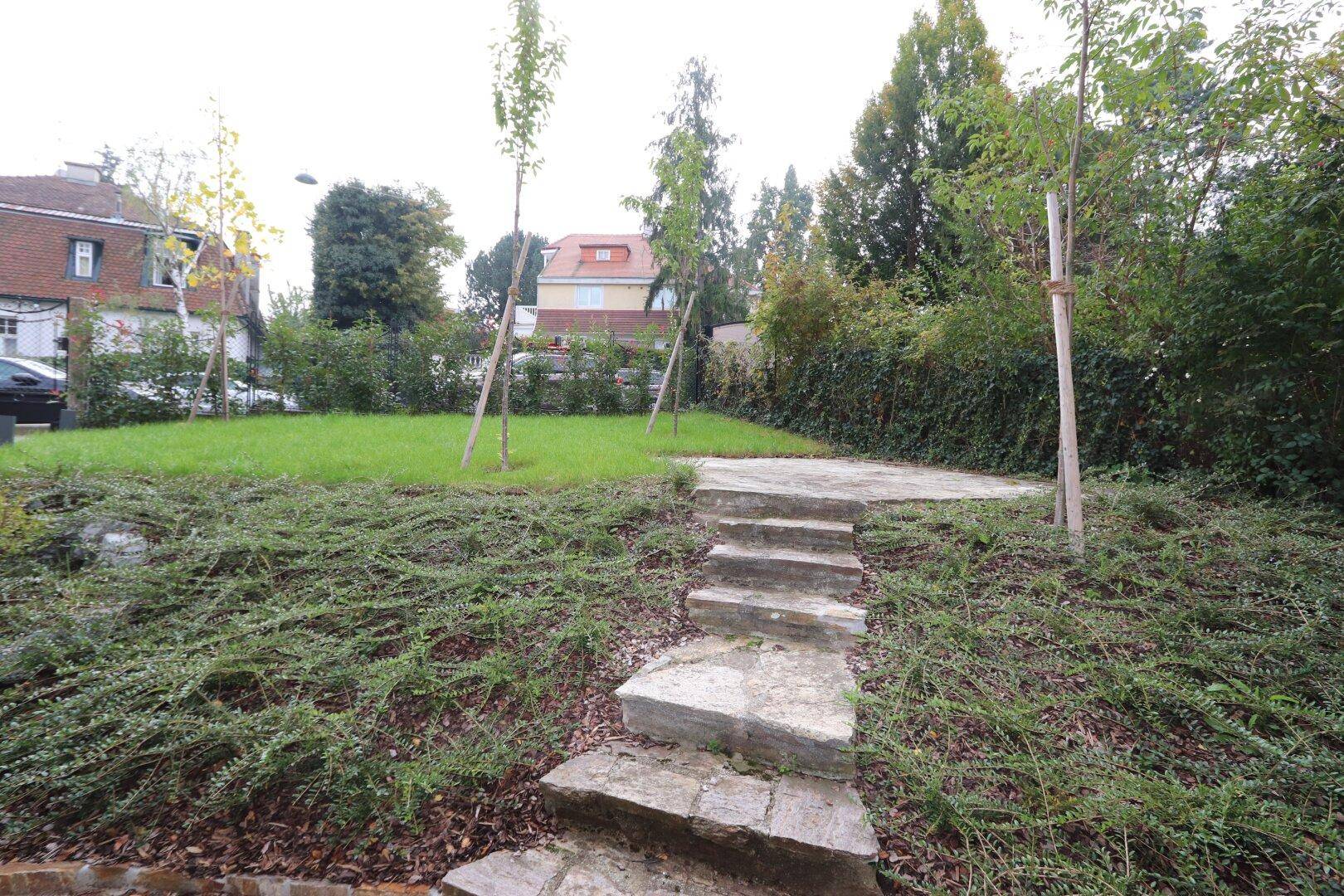 Gepflegter Gartenbereich mit Steinstufen, Rasenfläche und jungen Bäumen.
