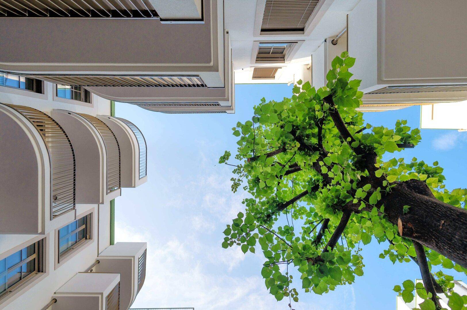 Blick nach oben auf die moderne Architektur mit Balkonen und einem Baum vor blauem Himmel.