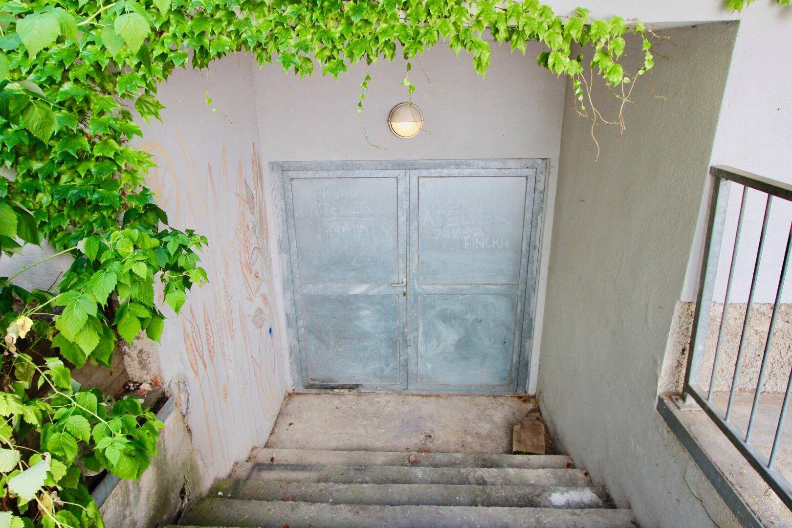 Treppe führt hinunter zu einer Kellertür aus Metall, umgeben von üppigem Efeu.